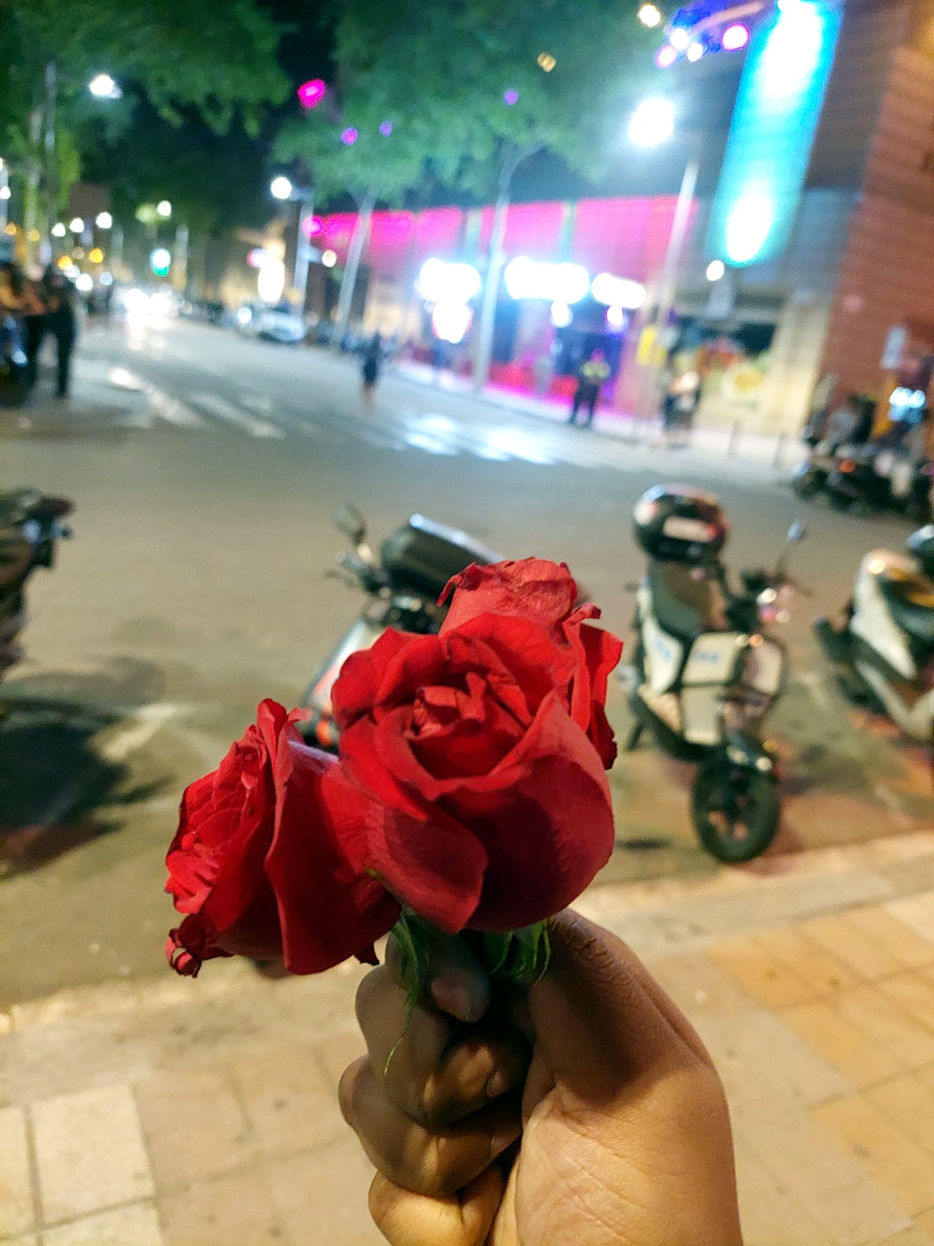 The roses