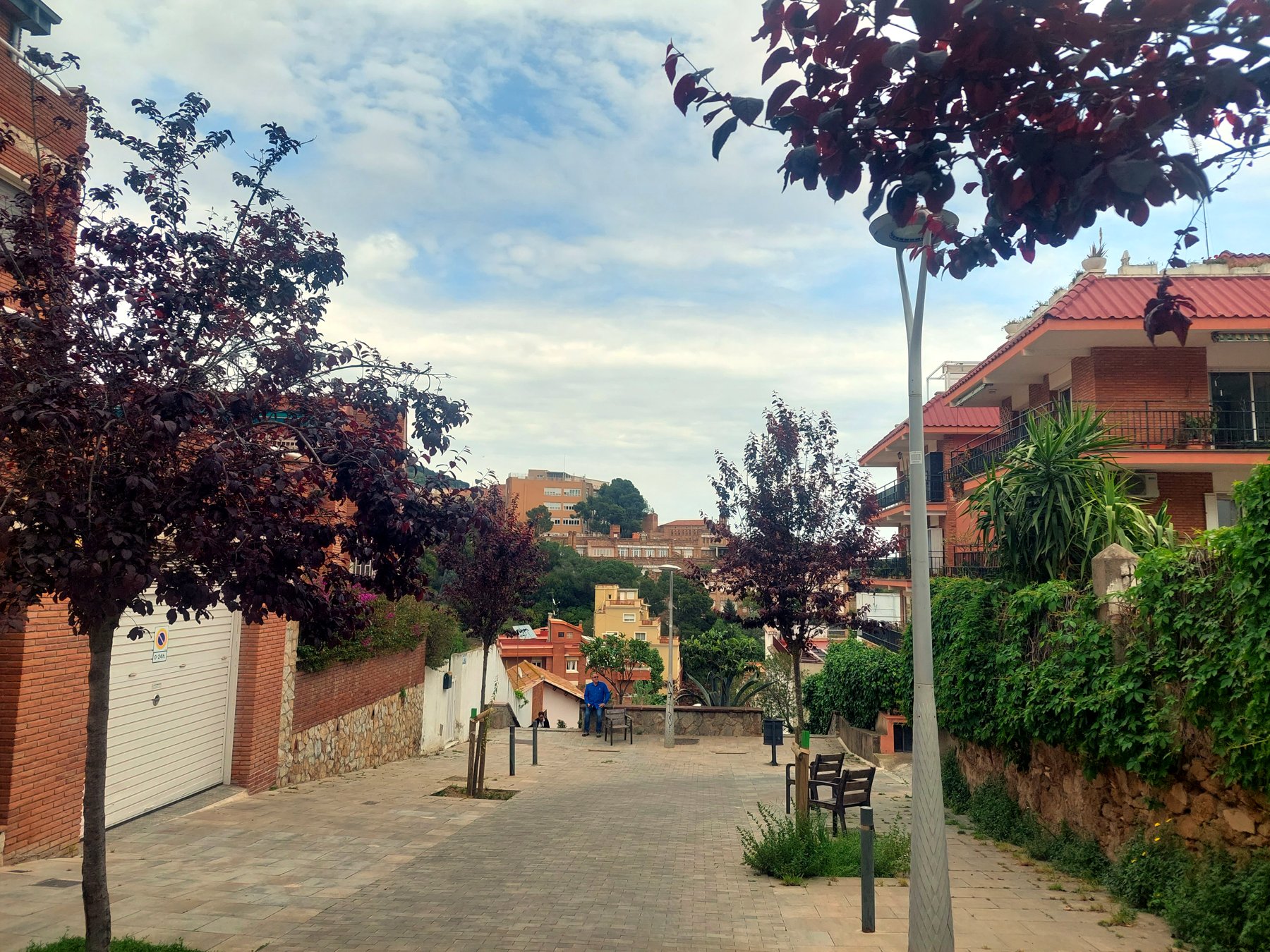 A Madrid street